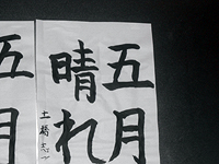 act_10.jpg(47240 byte)