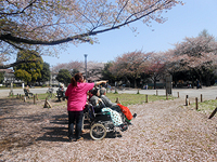 act_01.jpg(78396 byte)