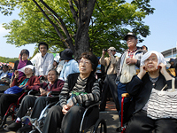 act_05.jpg(81146 byte)